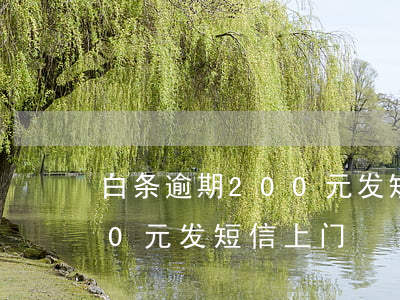 白条逾期200元发短信上门(白条逾期200元发短信上门)