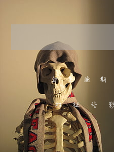 白条逾期21天影响征信(白条逾期一个星期对征信影响)