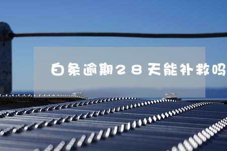 白条逾期28天能补救吗