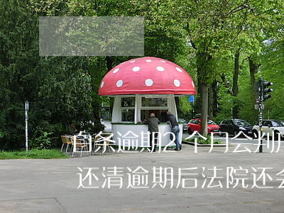 白条逾期2个月会判刑吗 白条逾期了2个月还清逾期后法院还会起诉吗