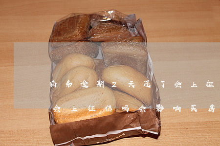 白条逾期2天还了会上征信吗(白条逾期俩天会上征信吗会影响买房吗)