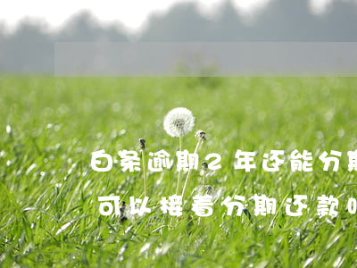 白条逾期2年还能分期吗(白条分期逾期一天可以接着分期还款吗)
