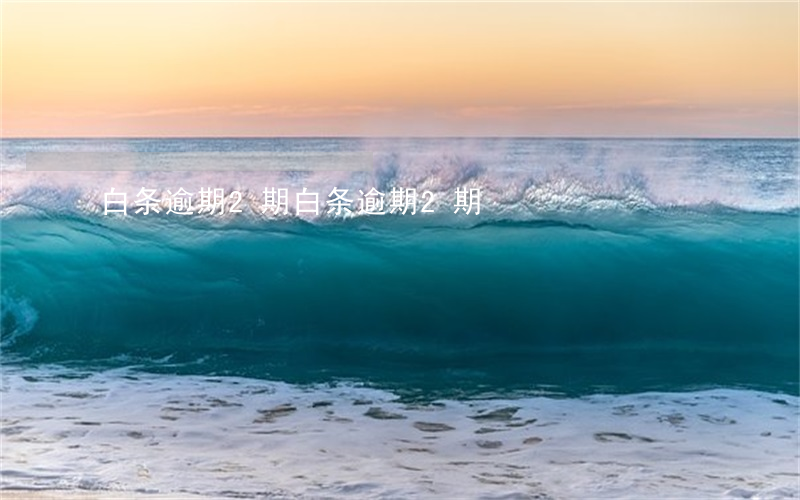 白条逾期2期(白条逾期2期)