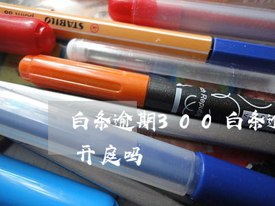 白条逾期300(白条逾期3000会被起诉开庭吗)