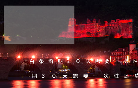 白条逾期30天需要一次性还清吗-白条逾期30天需要一次性还清吗