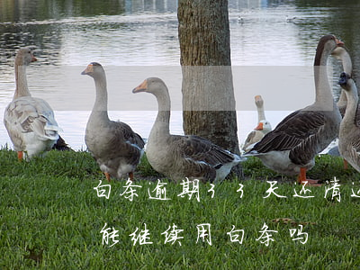 白条逾期33天还清还能用么(白条逾期了还能继续用白条吗)