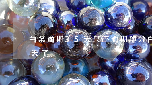 白条逾期35天只还逾期部分（白条逾期37天了）