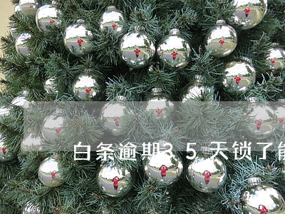 白条逾期35天锁了能恢复吗
