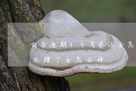 白条逾期3个月未还会怎样(白条逾期半个月处理了会怎么样)
