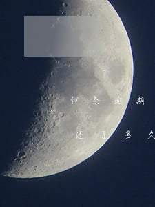 白条逾期3天怎样还款(白条逾期3个月然后还了多久恢复额度)