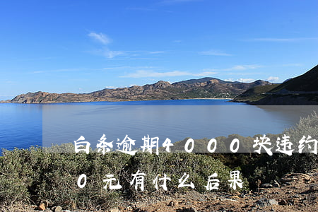 白条逾期4000块违约金(白条逾期4000元有什么后果)