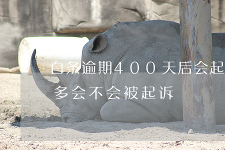 白条逾期400天后会起诉么(白条逾期一万多会不会被起诉)