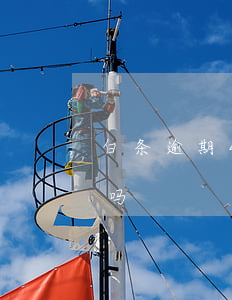 白条逾期4个月了-白条逾期两个星期严重吗