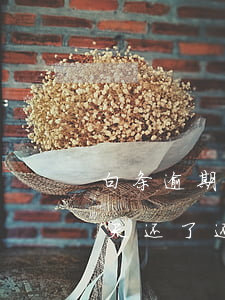 白条逾期50天还了还能用吗(白条逾期50天还了还能用吗)
