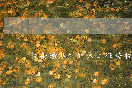白条逾期55天上征信(白条逾期了25天)