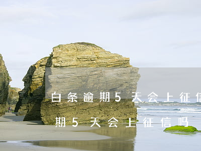 白条逾期5天会上征信吗会影响买房（白条逾期5天会上征信吗）