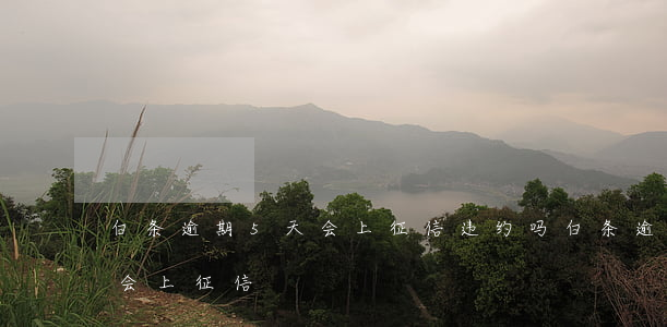 白条逾期5天会上征信违约吗(白条逾期五天会上征信)