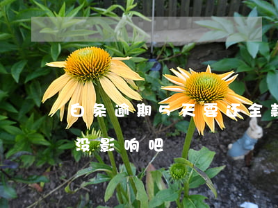 白条逾期5天要还全款吗(白条逾期5天还了没影响吧?)