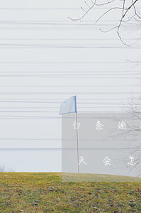 白条逾期60天还了逾期-白条逾期两百多天会怎么样