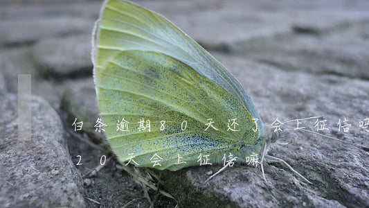 白条逾期80天还了会上征信吗-白条逾期20天会上征信嘛