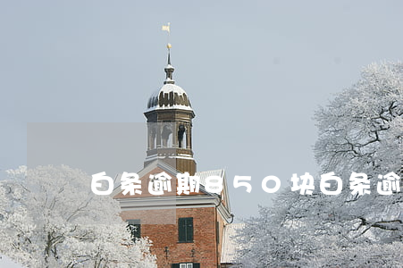 白条逾期850块(白条逾期费用太吓人)