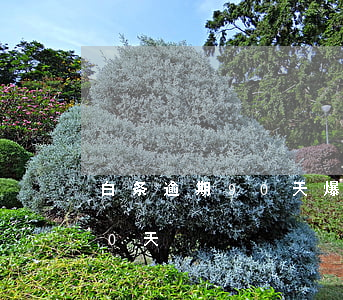 白条逾期90天爆通讯录吗-白条逾期500天