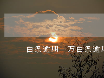 白条逾期一万(白条逾期一万会上门吗)