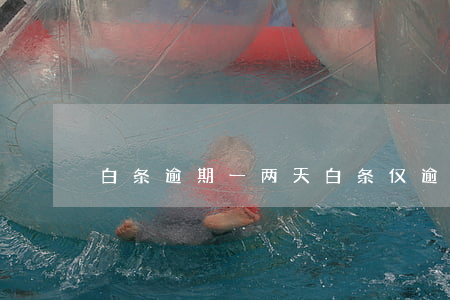 白条逾期一两天（白条仅逾期一天）
