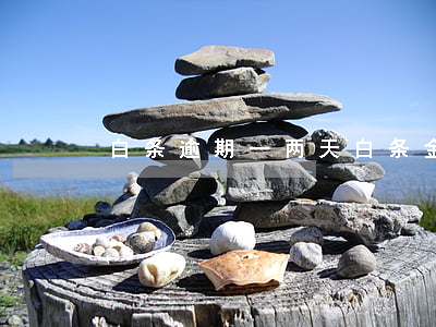 白条逾期一两天（白条金条逾期一天）