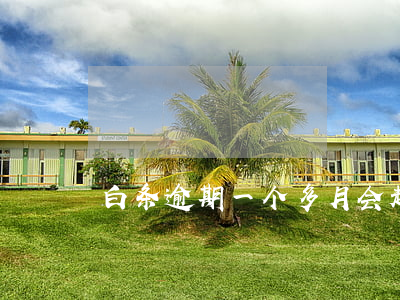 白条逾期一个多月会起诉-白条逾期半年了