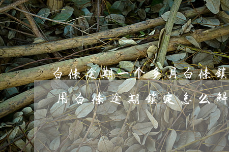 白条逾期一个多月白条锁定了还能解锁吗（信用白条逾期锁定怎么解除）