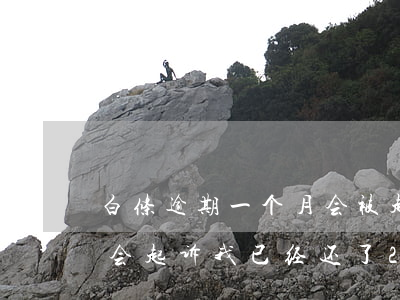 白条逾期一个月会被起诉吗(白条逾期多少天会起诉,我已经还了2000多)