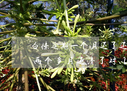 白条逾期一个月还了还会上征信吗(白条逾期两个多月还清了,对以后征信有影响吗?)