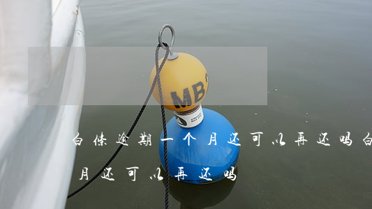 白条逾期一个月还可以再还吗（白条逾期一个月还可以再还吗）