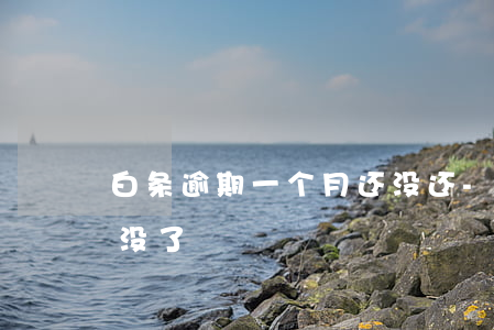 白条逾期一个月还没还-白条逾期两天额度没了