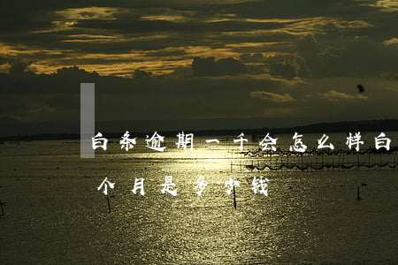 白条逾期一千会怎么样(白条1000逾期一个月是多少钱)