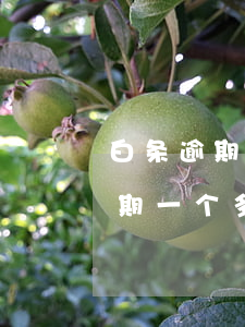 白条逾期一千多块三个月会上门吗-白条逾期一个多月,说有第三方上门是真的吗