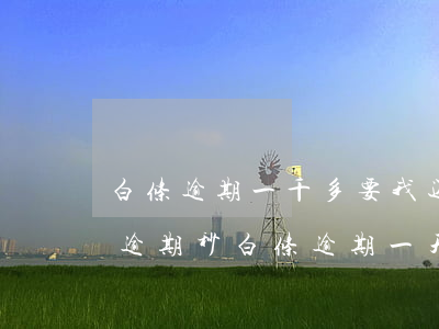 白条逾期一千多要我还全款,收到短信我还了逾期（秒白条逾期一天还了能借吗）