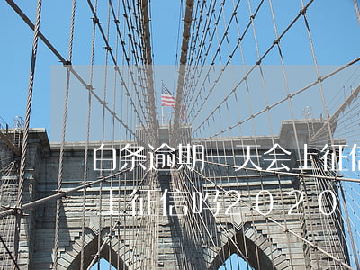 白条逾期一天会上征信吗2020（白条逾期上征信吗2020）