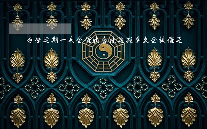 白条逾期一天会催收(白条逾期多久会被催还)