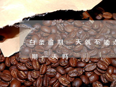 白条逾期一天就不能点分期了吗(白条可以逾期一天吗)