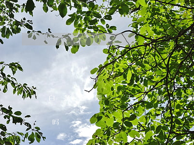 白条逾期一天影响大嘛(白条逾期1天有影响吗)