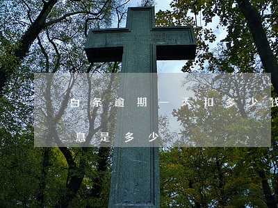 白条逾期一天扣多少钱-白条逾期一个月利息是多少