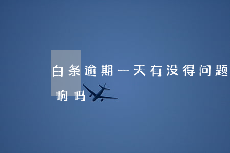 白条逾期一天有没得问题(白条逾期1天有影响吗)
