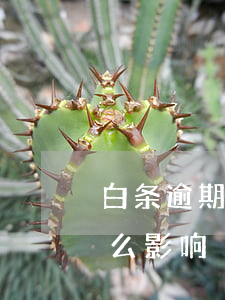 白条逾期一天有没有关系(白条逾期一天有什么影响)