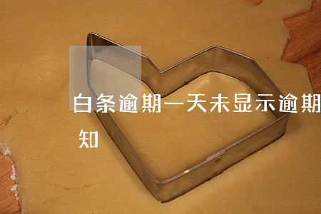 白条逾期一天未显示逾期-白条逾期没有通知