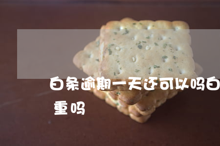 白条逾期一天还可以吗(白条逾期一个星期严重吗)