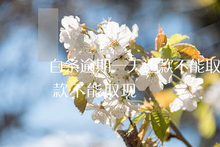 白条逾期一天还款不能取现(白条逾期一天还款不能取现)