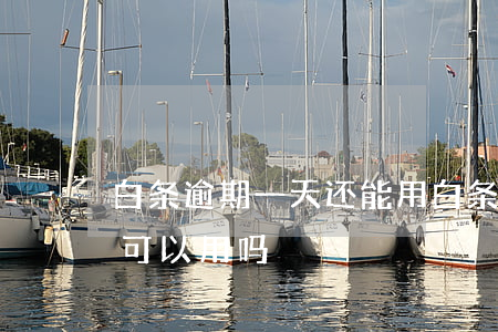 白条逾期一天还能用白条吗(白条逾期一天还可以用吗)