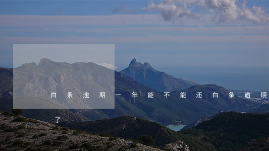 白条逾期一年能不能还(白条逾期一千一年多了)